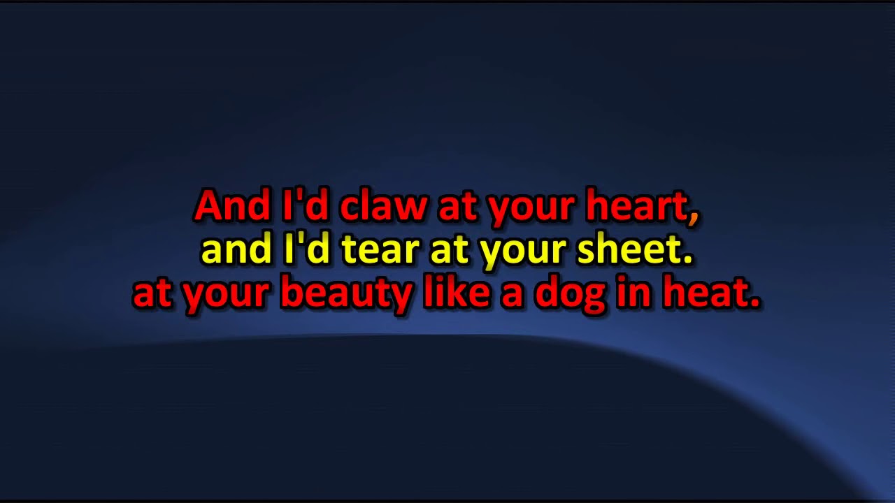 I'm Your Man   Leonard Cohen Karaoke