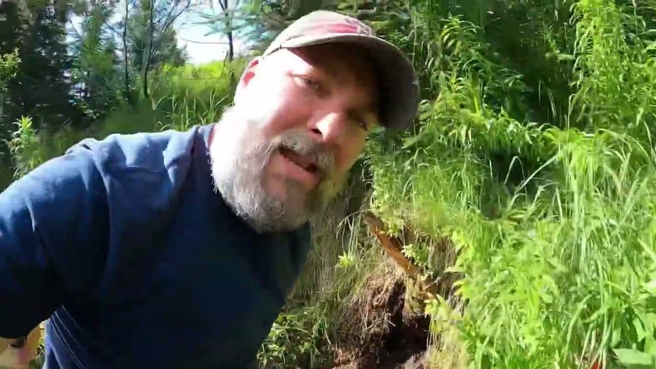 Did we find a Natural Spring on our Alaska property? | Part 1 Getting Water