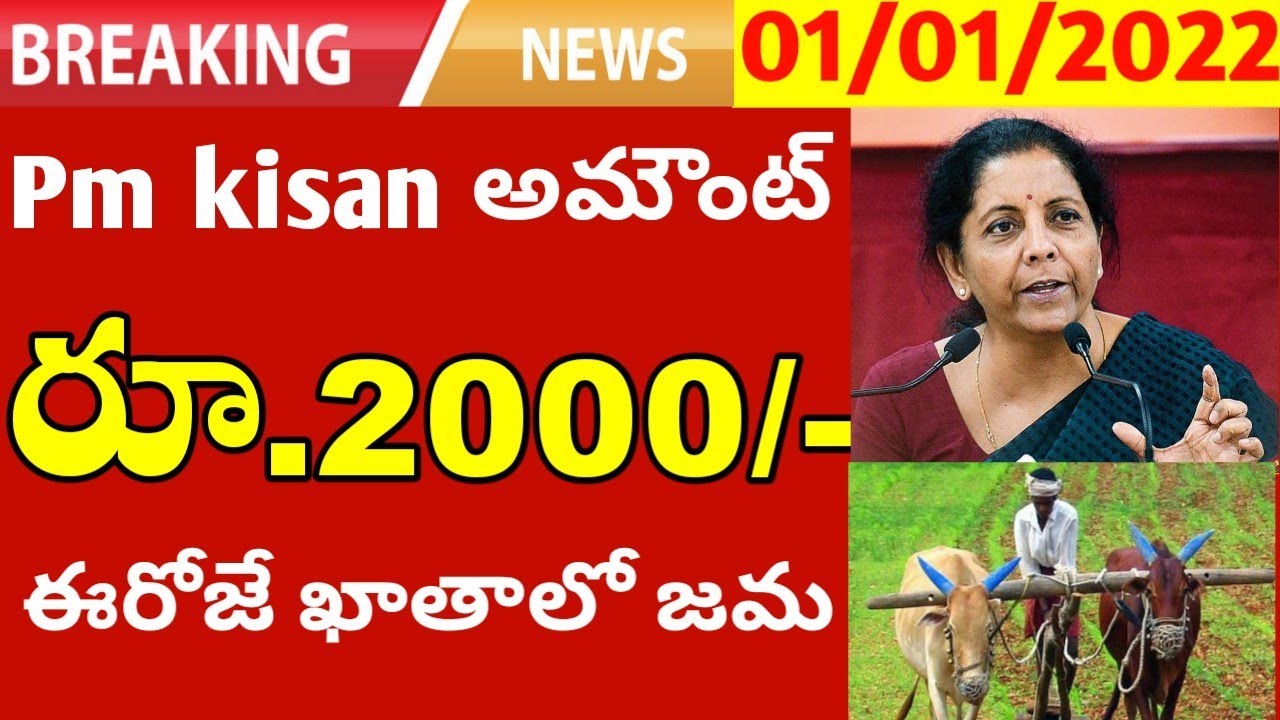 pm kisan amount credit in account/pm kisan amount 2000 credit today in account