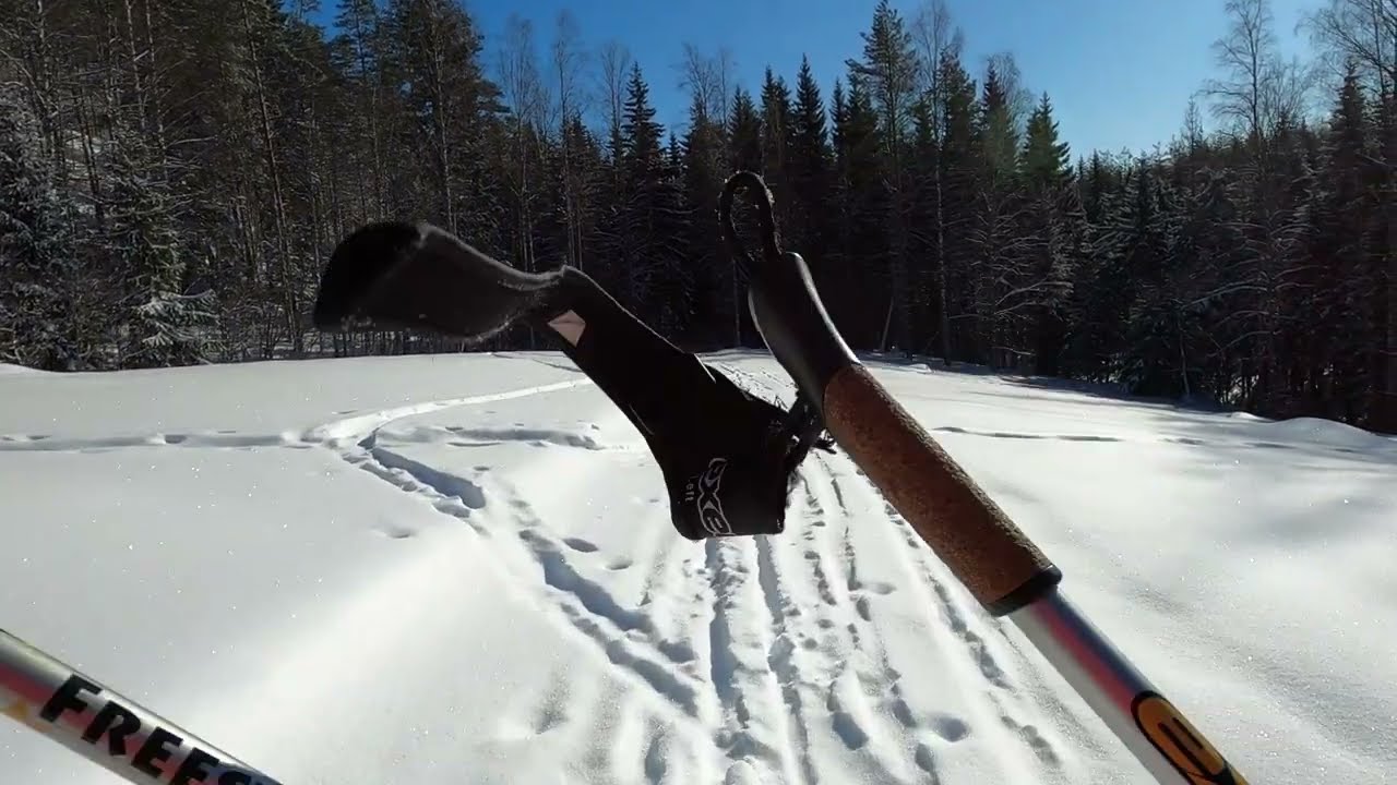 Hiking in Mäkrä Hill. Koli National Park. Finland 4K