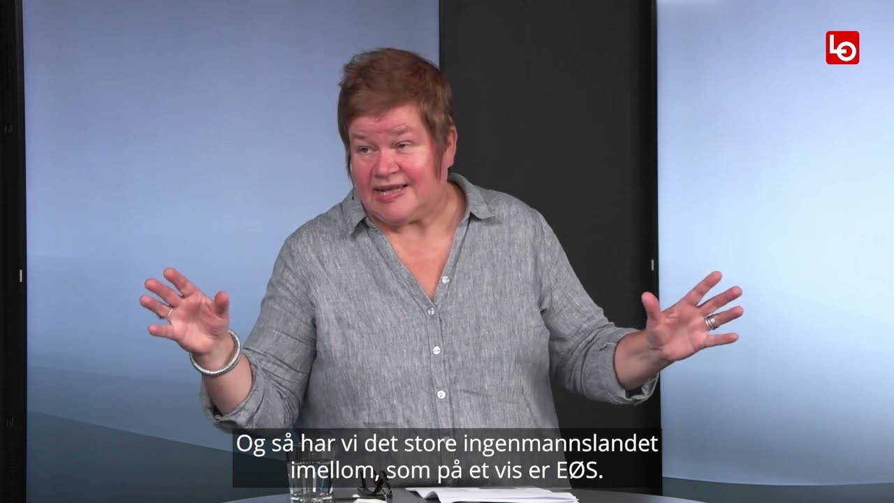 EØS-utredningens viktigste funn