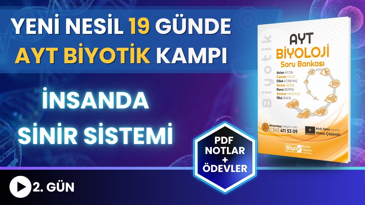 AYT Biyotik Kampı 2. G&uuml;n | İnsanda Sinir Sistemi