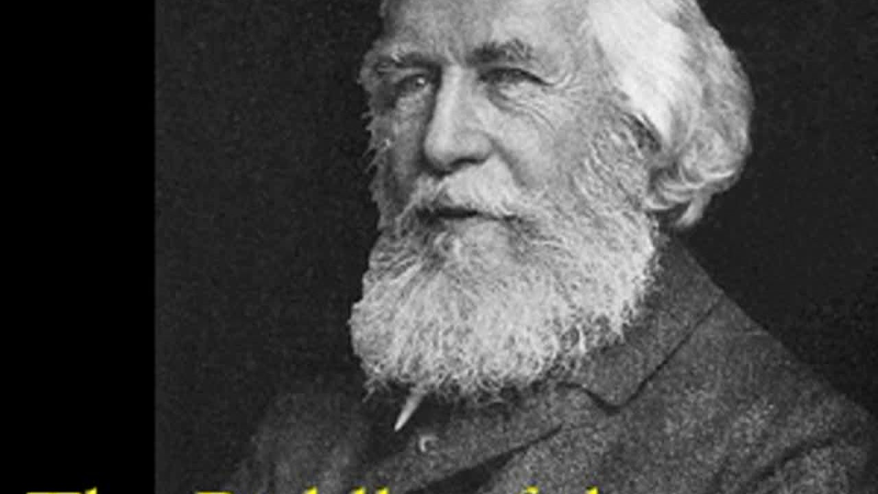 The Riddle of the Universe by Ernst HAECKEL read by Various Part 2/2 | Full Audio Book