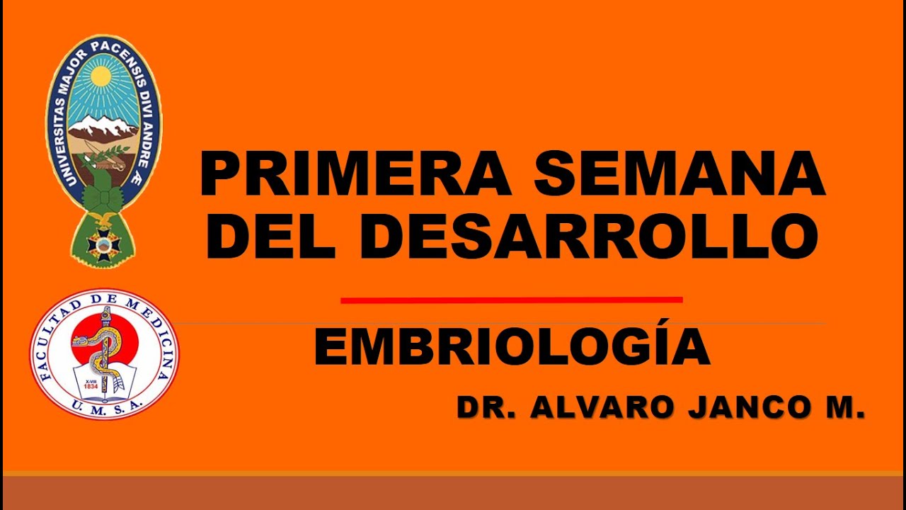 PRIMERA SEMANA DEL DESARROLLO - EMBRIOLOGÍA - Dr. Alvaro Janco M.
