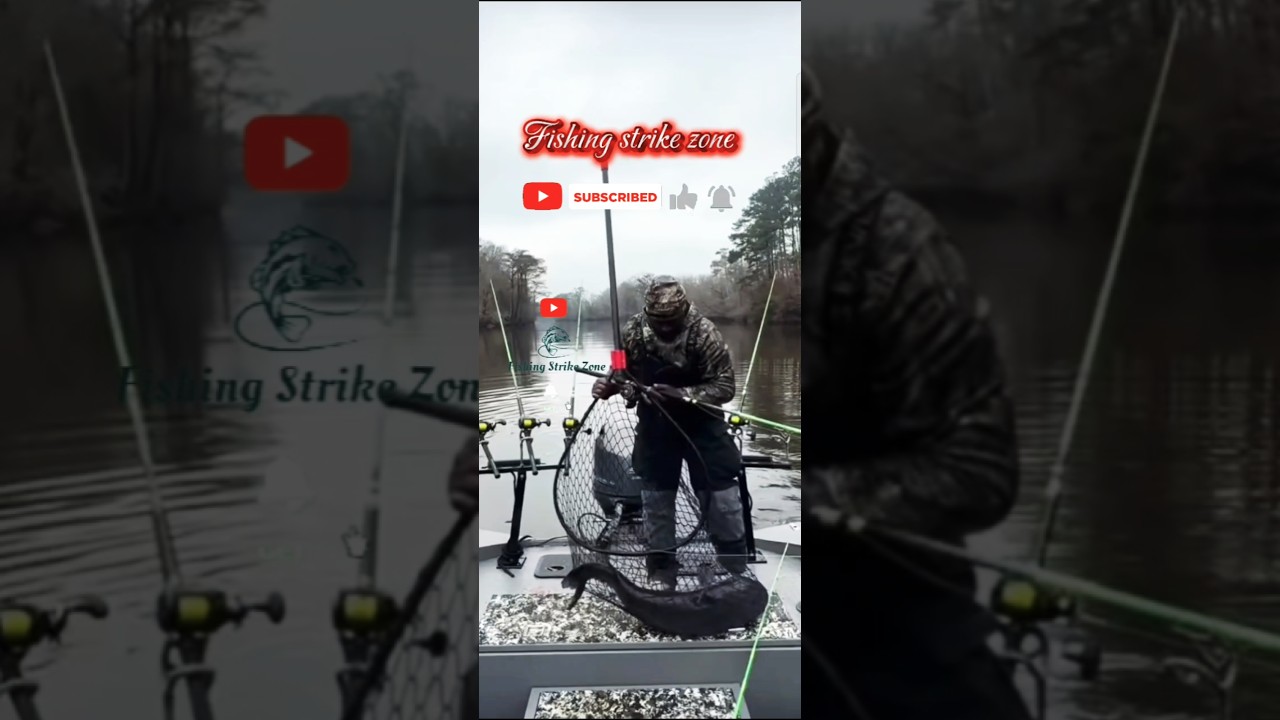 fishing strike zone 