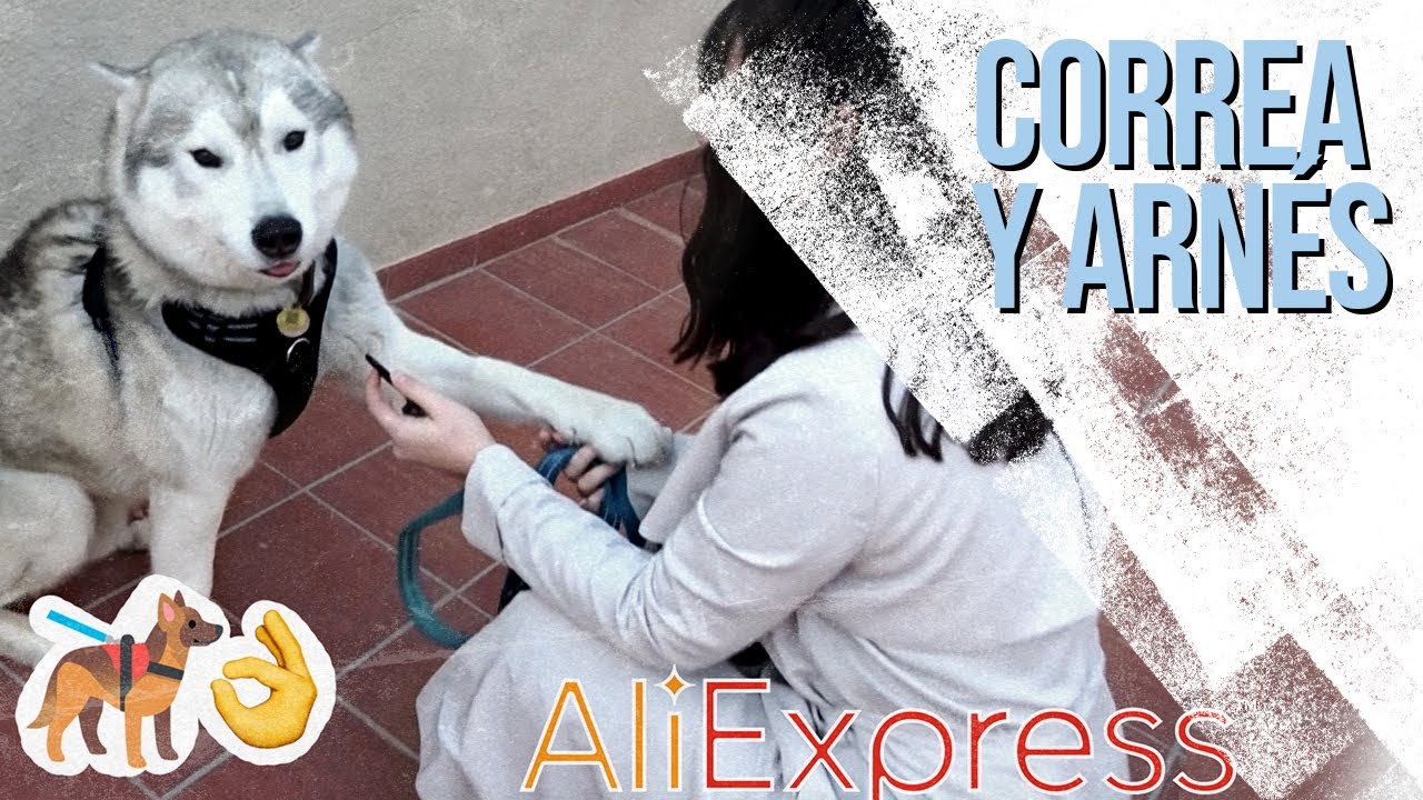 ARNESES ANTITIRONES para HUSKY 🐺🦮 **SUPER HAUL ALIEXPRESS pt. 2**