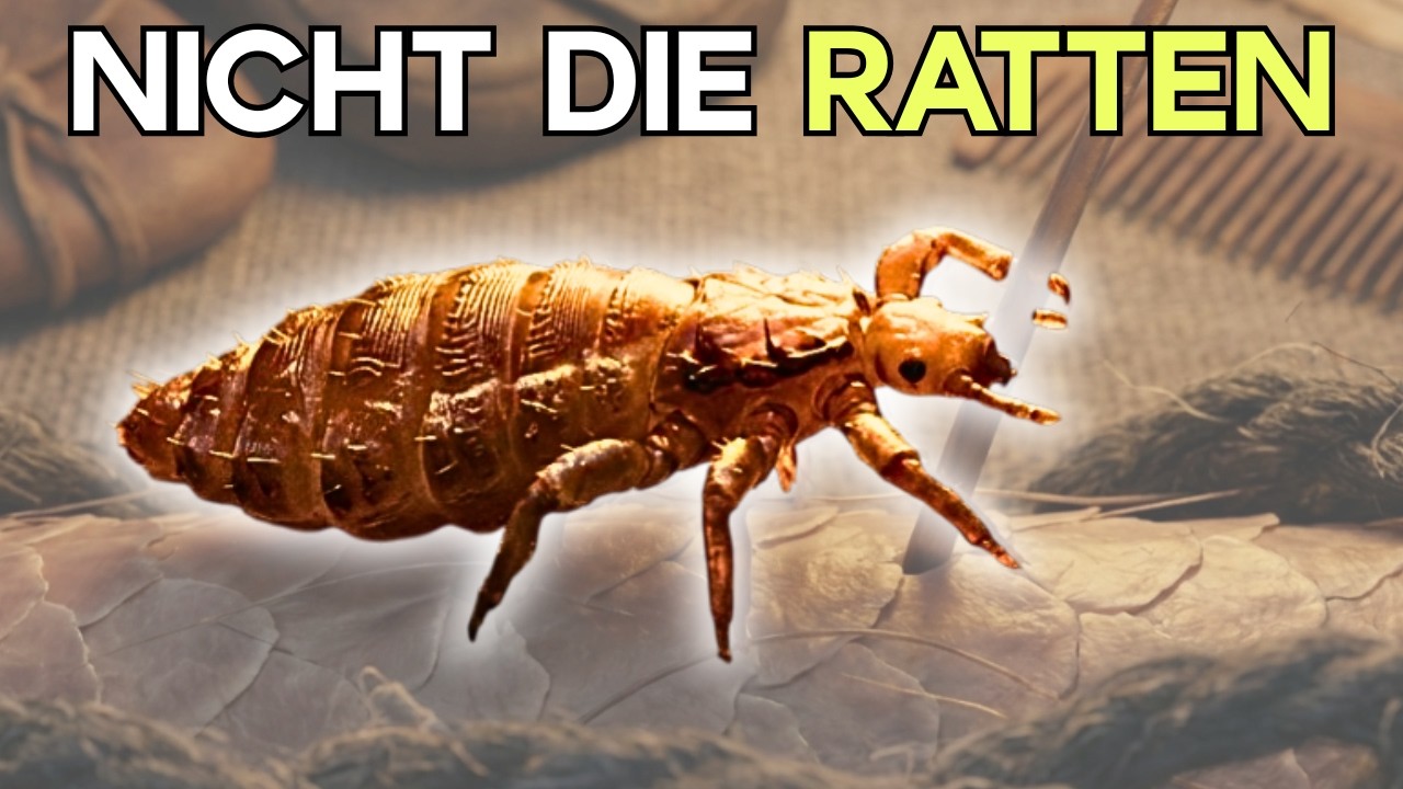 🔥 Pest Rätsel – Warum Ratten den Schwarzer Tod NICHT verbreiteten