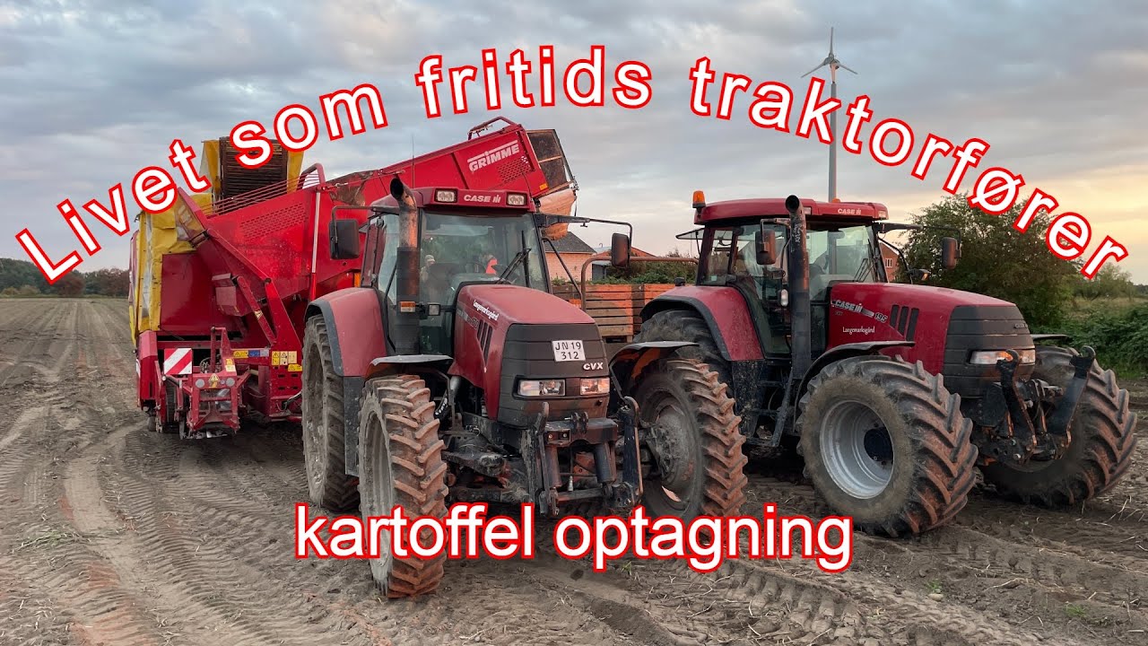 (Livet som fritids traktorfører) kartoffel optagning