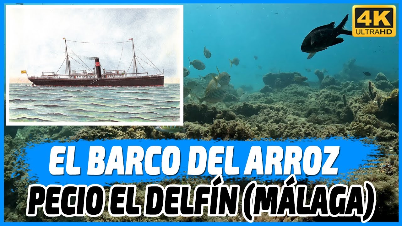 Buceo en el Pecio del Barco del Arroz (El Delfín)