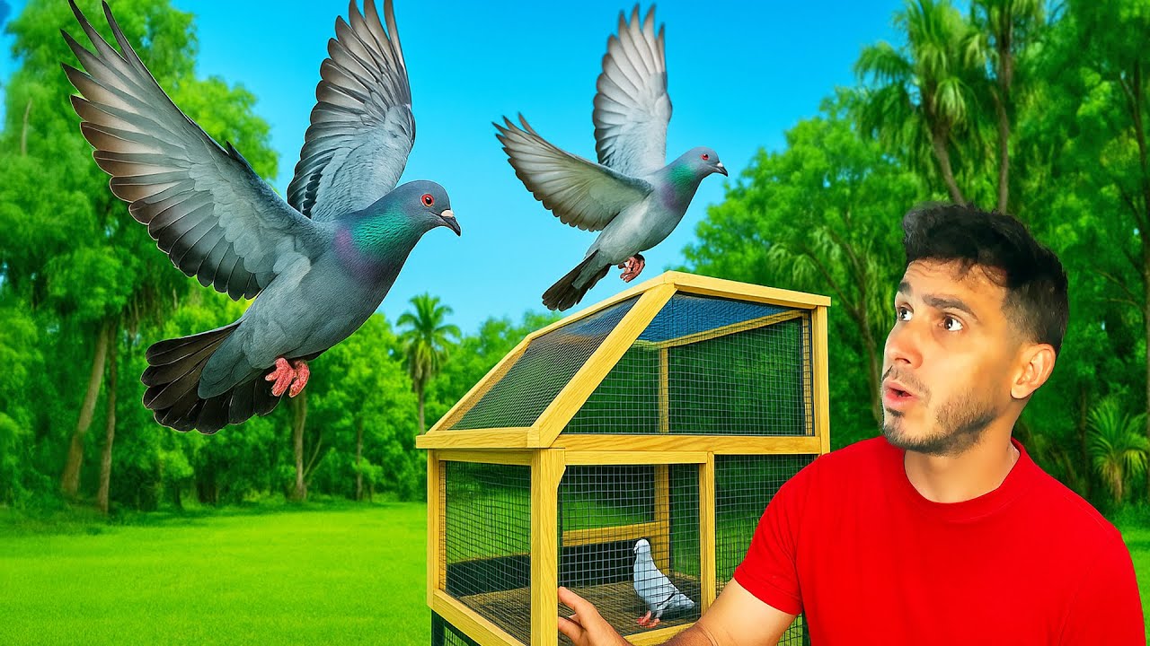 Los Pichones VOLARON por primera vez 😱🕊️ Regresarán al palomar? La Finquita Bonita