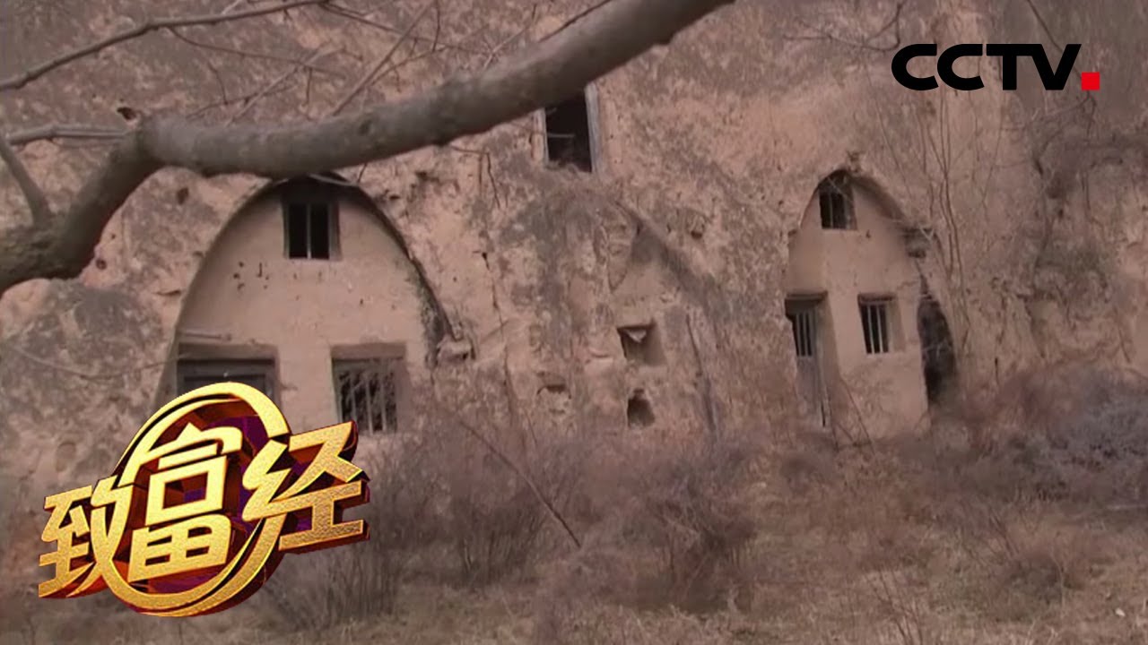 《致富经》废弃窑洞生财 荒山变金山 20200323 | CCTV农业