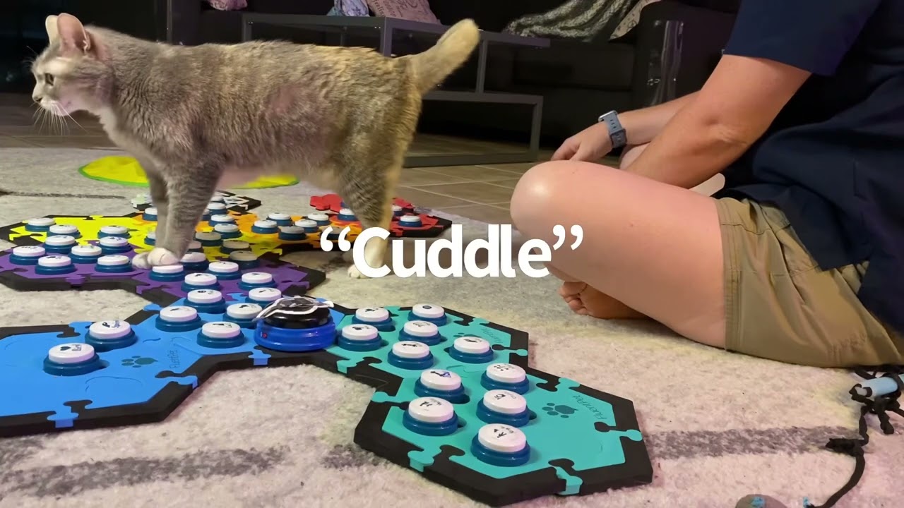Cuddles As Currency | BilliSpeaks