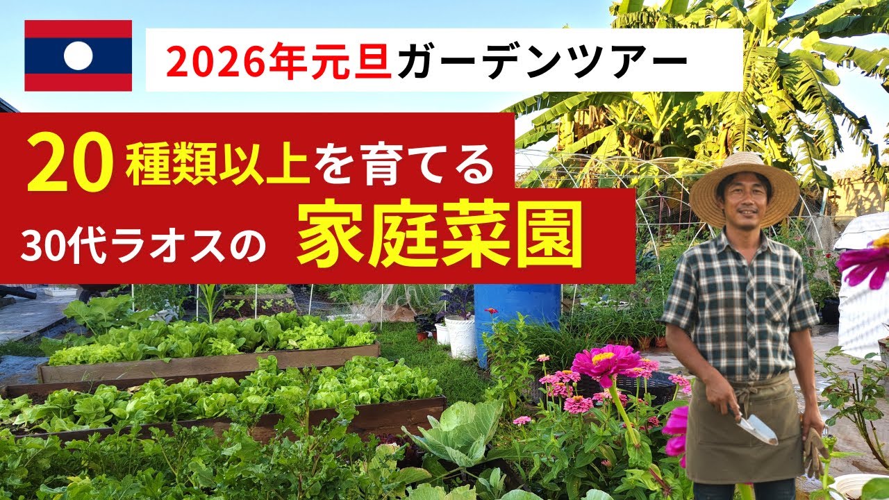【のんびりガーデンツアー】なぜかラオス移住して家庭菜園をやっているので見てみてください【2026年元旦の記録】