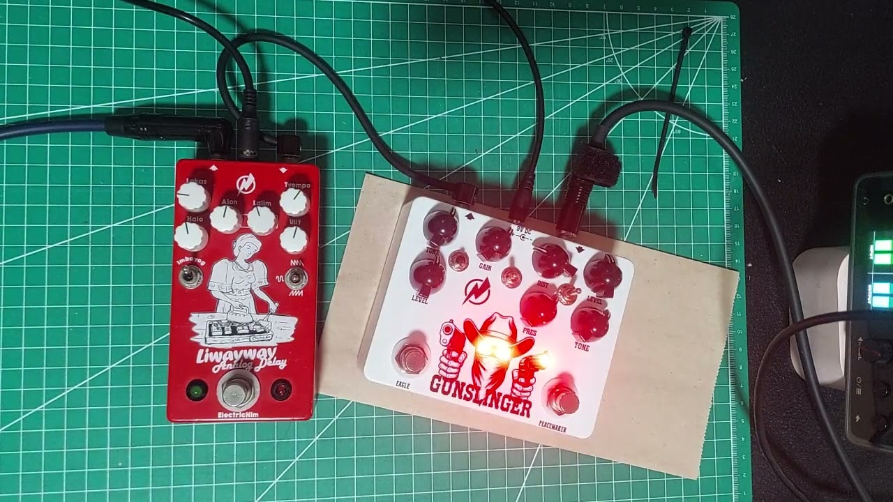 Liwayway Analog Delay + Custom Dual Overdrive 