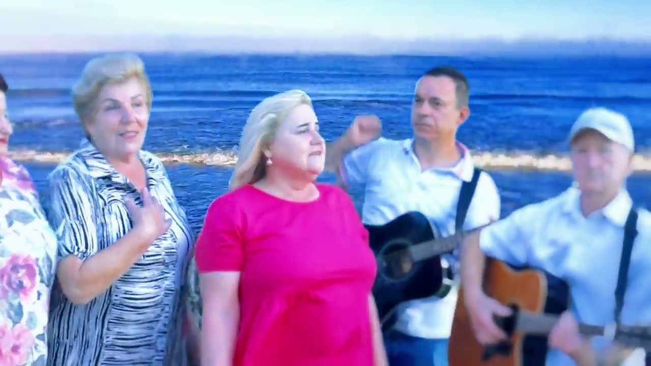 Vokalinis Instrumentinis Ansamblis 