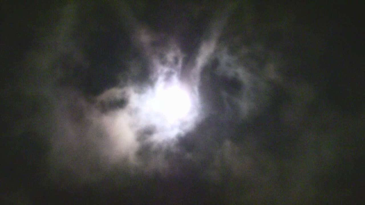 Watazumi Doso Roshi, hocchiku - 