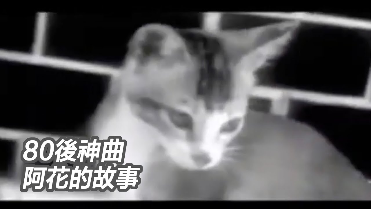 80後回憶錄：最催淚兒歌《阿花的故事》！袁鳳瑛經典神曲，唱出無數人嘅童年遺憾！
