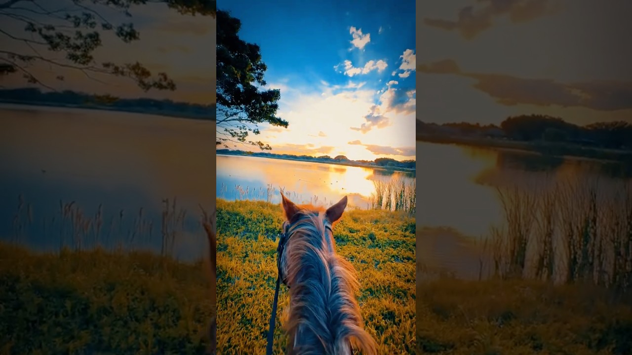 Live is beautiful on a horse back ❤️🐎 