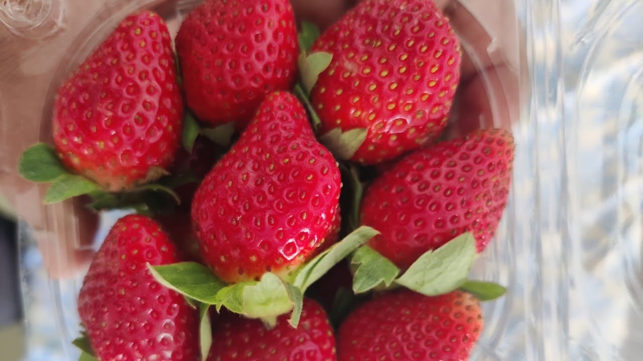 Hi friends 🤗 welcome to live stream 🥰 please subscribe 🙏💐🥺