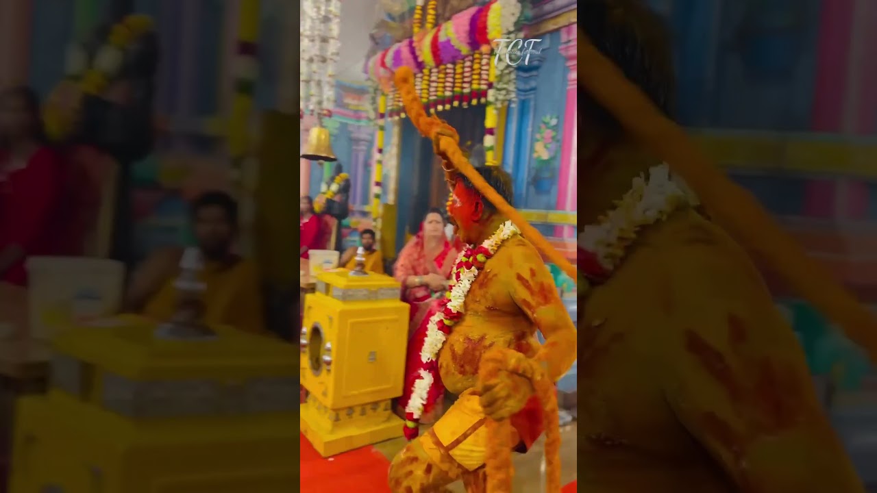Old city bonal 2024 Mir Alam Mandi bonal 2024 #bonalu #bonal #bonalu #miralammandi #dabeerpura