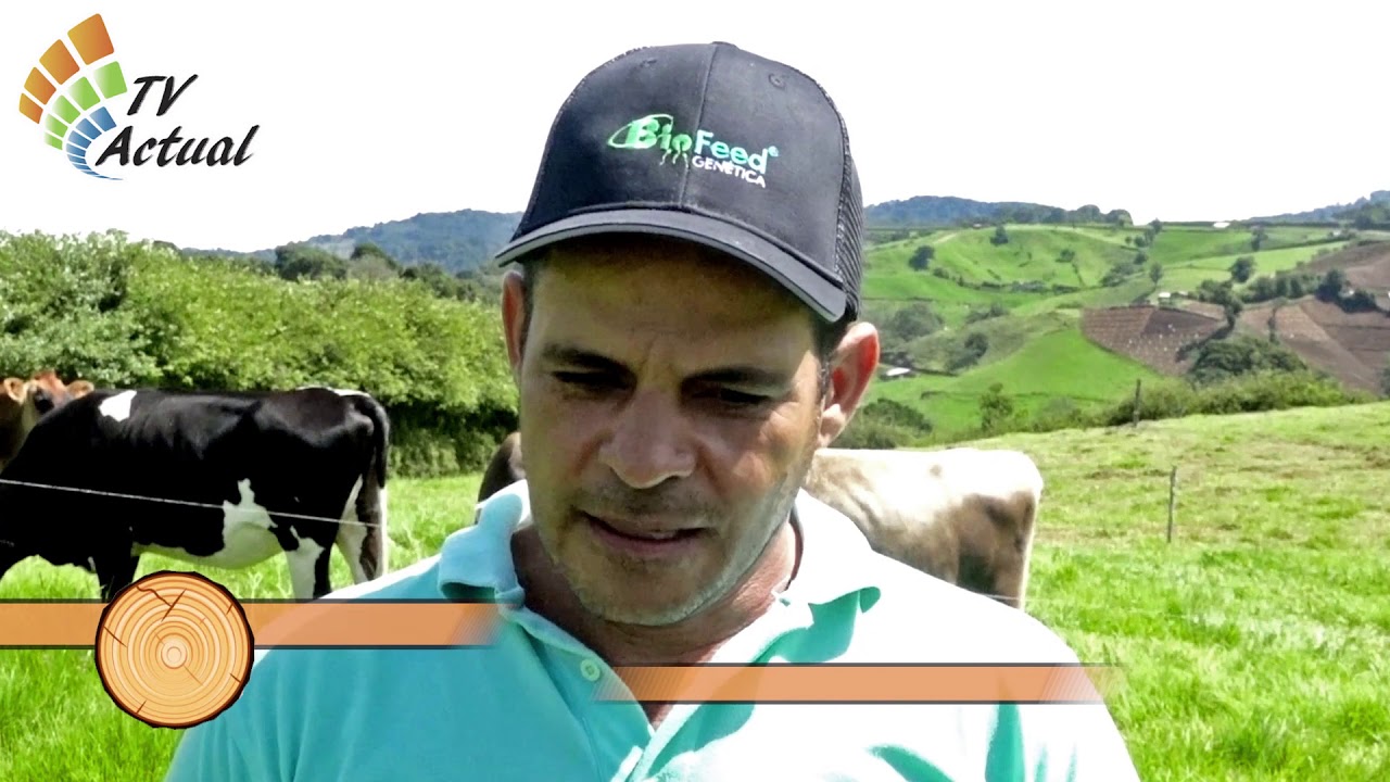 Cruce Jersey con Pardo