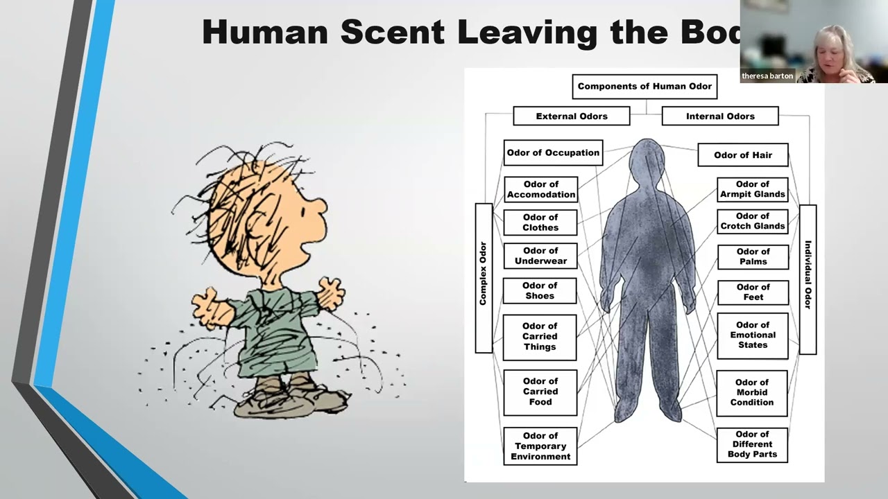 SEK9 Community and Scent Discriminate Trailing