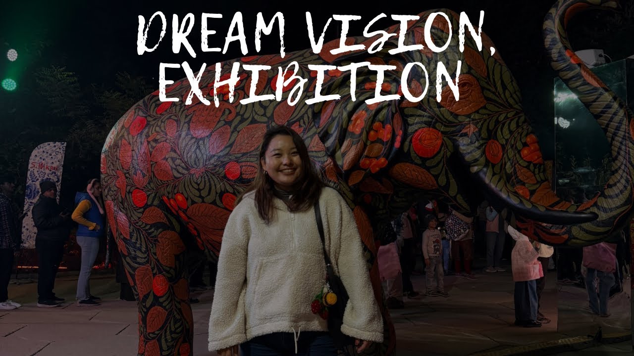 Dream Vision Exhibit by Russian artist Nikas Safronov’s || the Lalit Kala Akademi #tibetanvlogger 