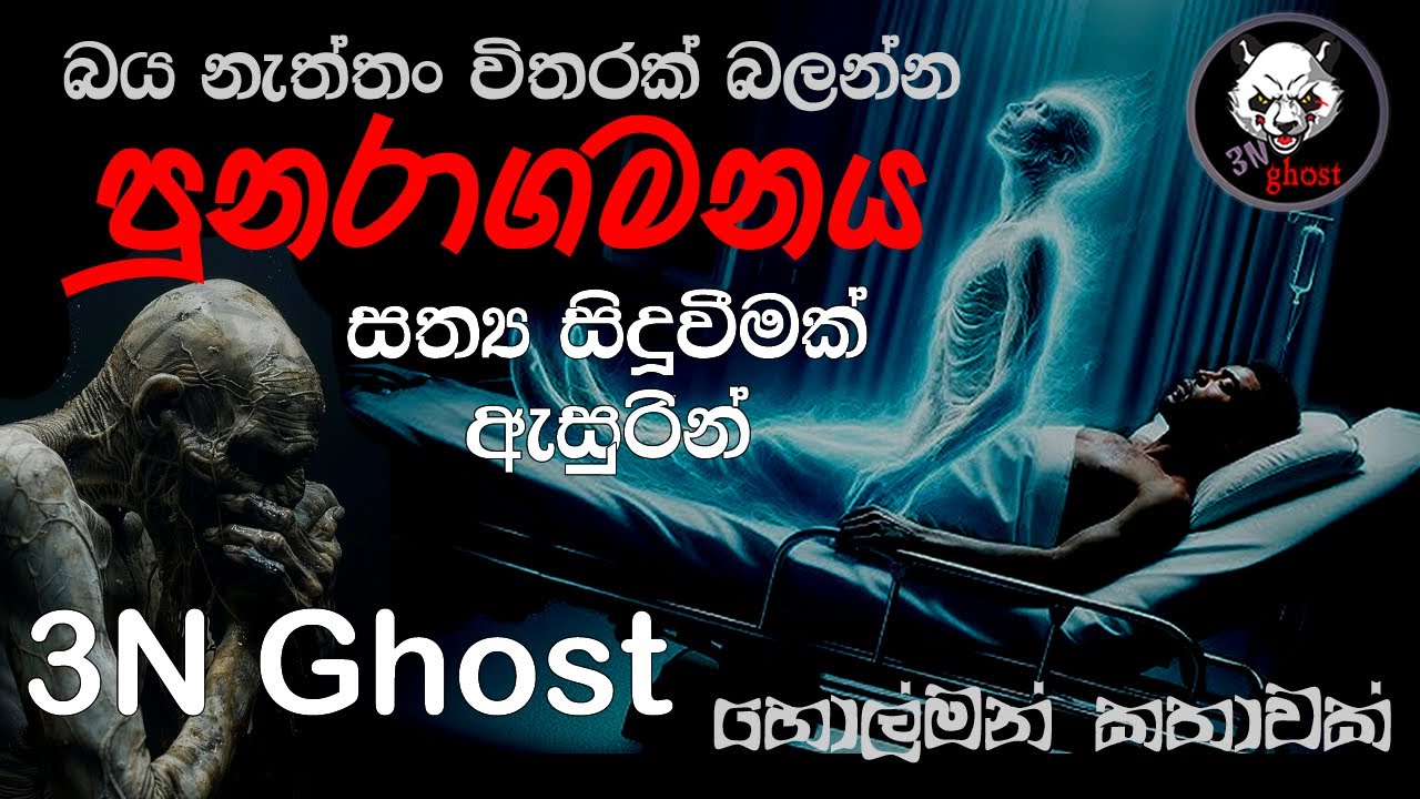 පුනරාගමනය  | @3NGhost | සත්‍ය හොල්මන් කතාවක් | holman katha | ghost story 383