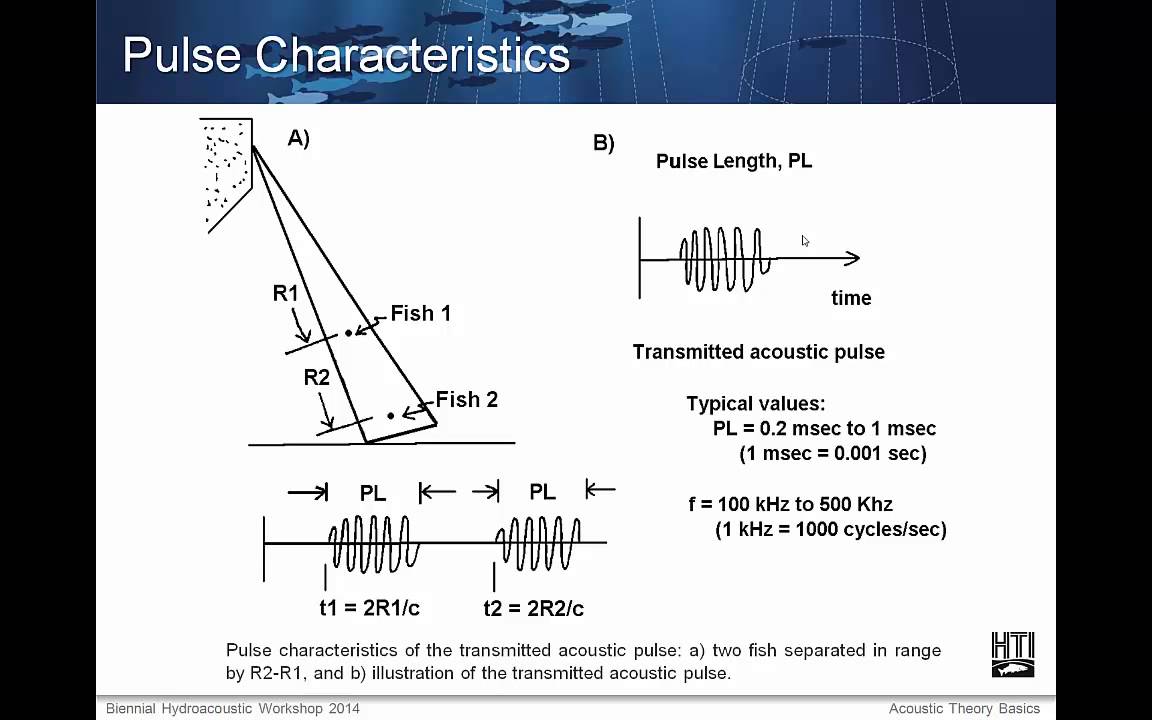 Acoustic Theory Basics for Fisheries Sampling