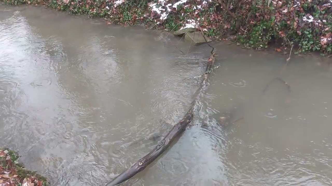Fließendes Wasser in Hanau Schloßpark 
