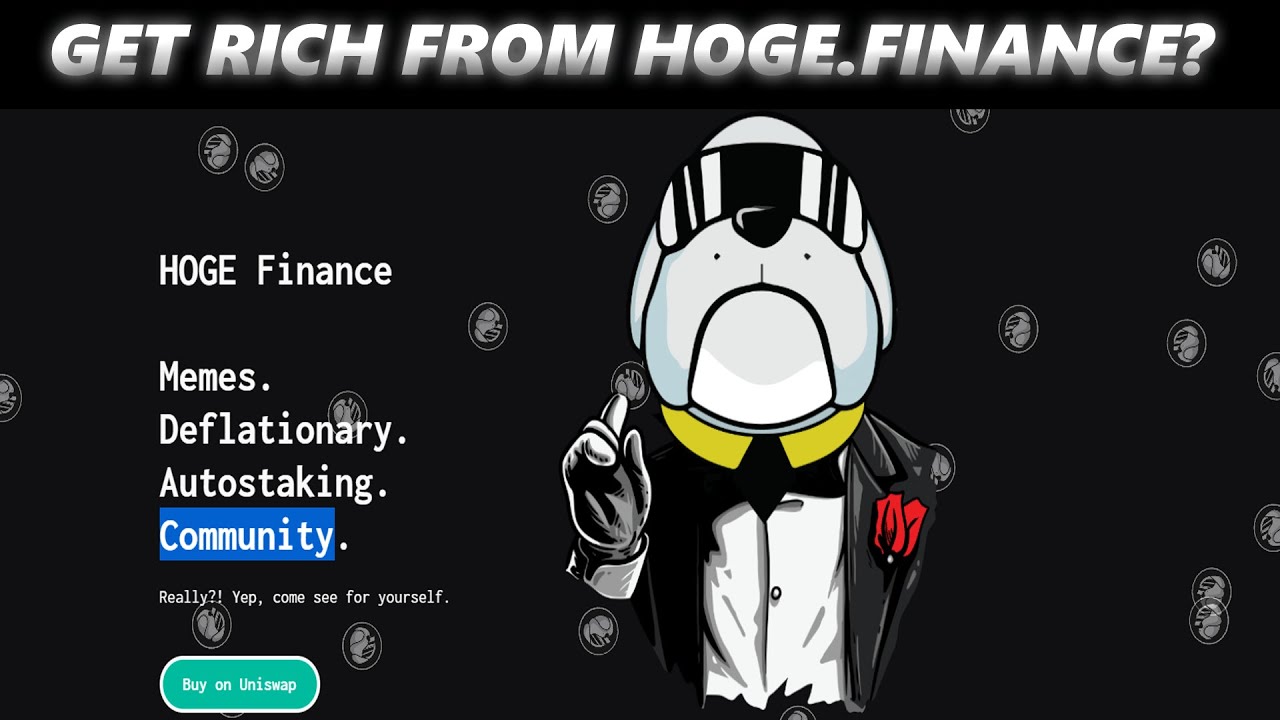 Should You Buy Hoge.Finance - Will This Meme Coin Rise 10000% (HogeCoin)