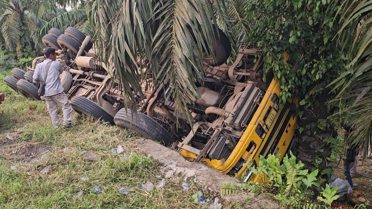Truck Trinton Terbalik Kepala Terjepit Di Antara Pohon Kelapa Sawit.Supir Truk Baik Mau Membantu.