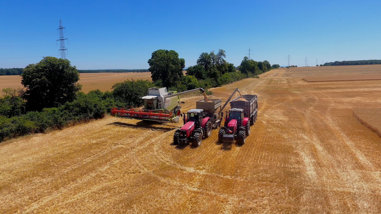 Valtice South Moravia CZ harvest entre 2025 Agro Měřín