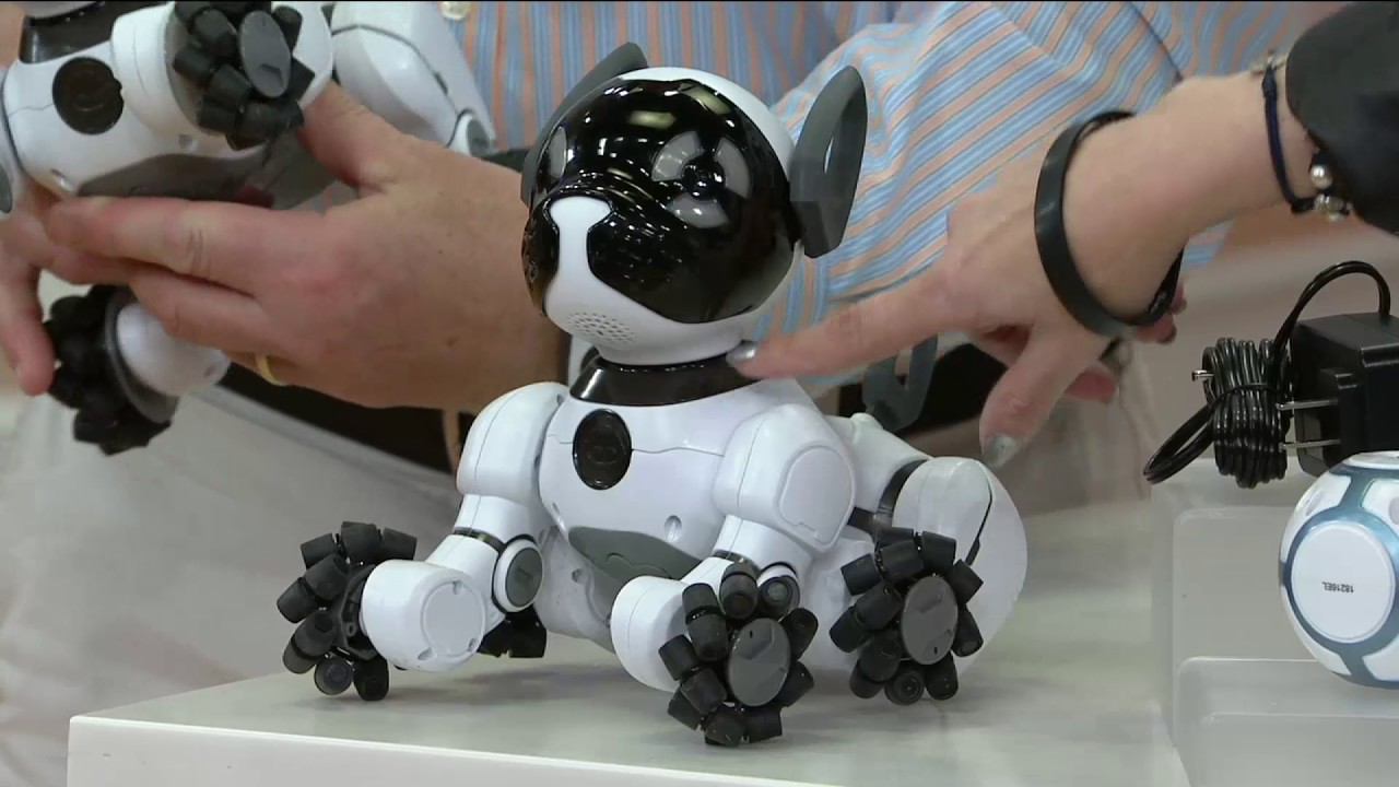 WowWee's CHiP Interactive Robotic Dog w/ Smart Ball & 2 Smartbands on QVC