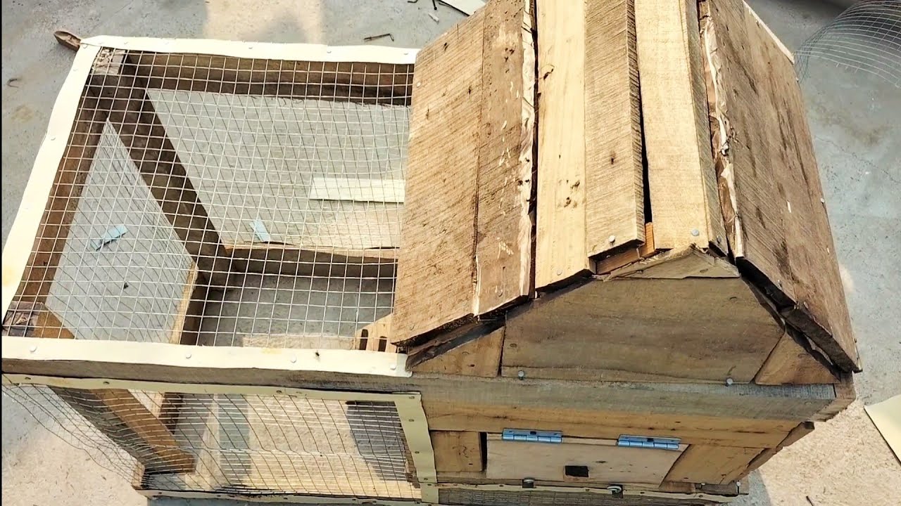 Easy Way to Make Chicken Cage Using Wood and Iron at Home