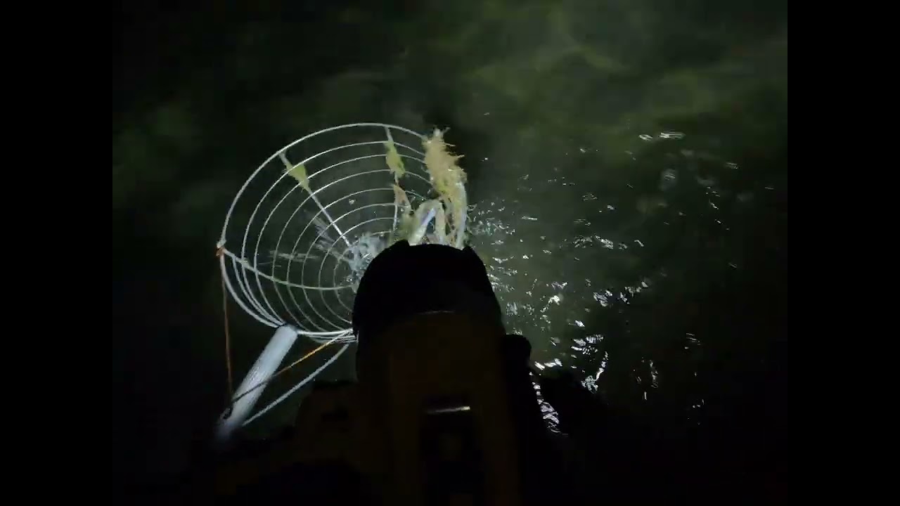 Nanghuli kami ng malalaking blue crab😱  Napaka dami nila sakto ung spot na napuntahan namin😇😊