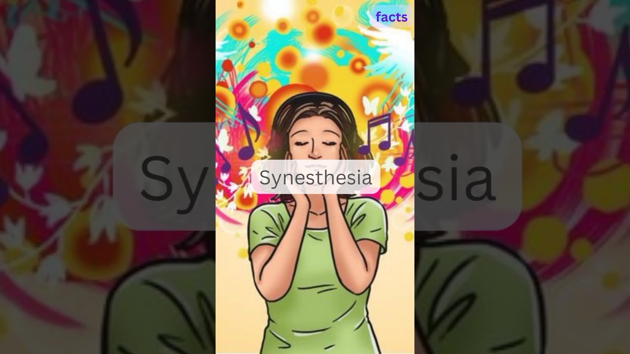 some people can taste numbers | Synesthesia
