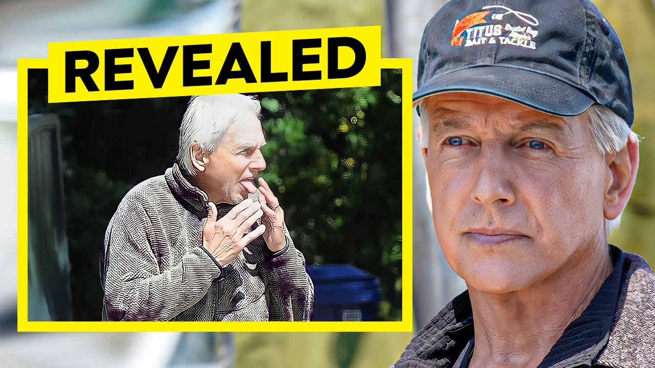 Mark Harmon Has REVEALED What He Is Doing Now...