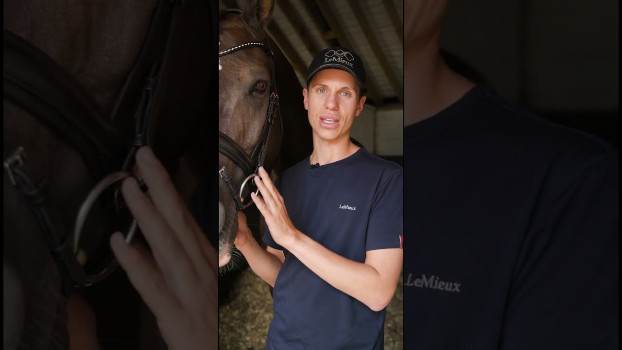 Kudos Bridle Valegro* JRS | LeMieux *