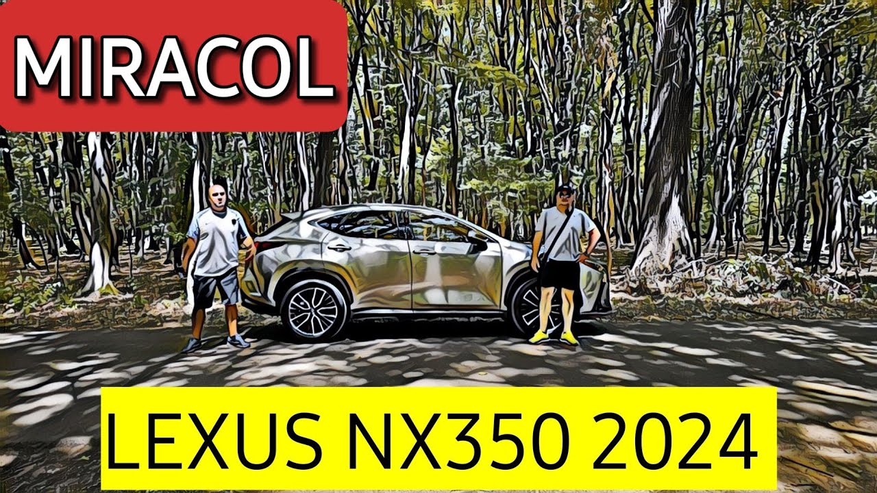 S-a întâmplat un miracol - Lexus NX 350h