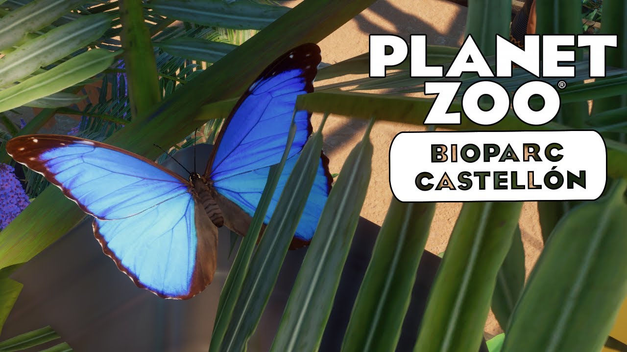 Blauer Morphofalter &laquo;&raquo; Bioparc Castell&oacute;n #33 - Planet Zoo Sandbox Mode 🦇🇪🇸 Deutsch | German