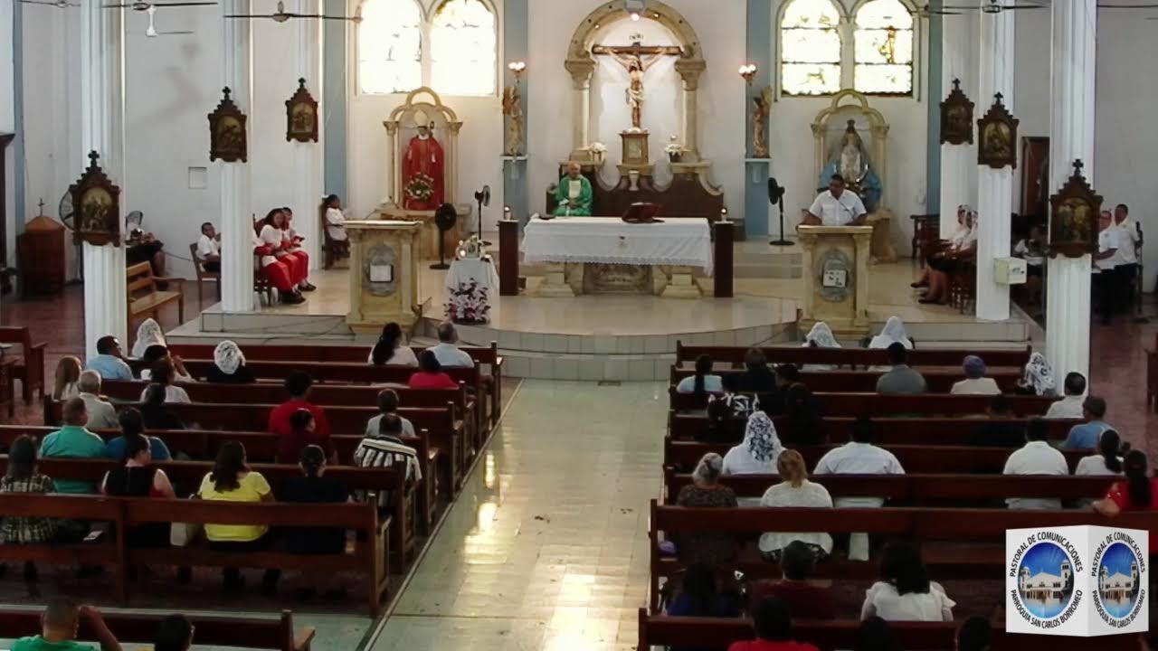Sexto Domingo del Tiempo Ordinario. Día del Señor. Santa Misa.