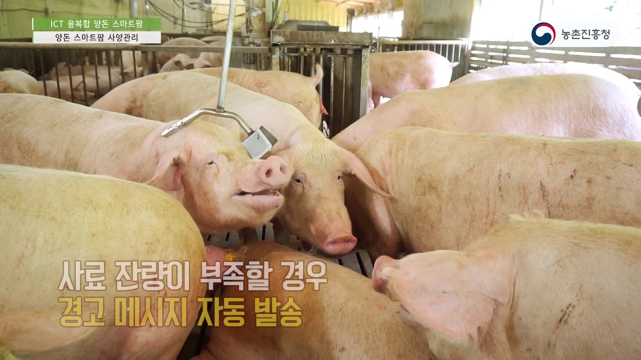 28 ICT융복합 양돈 스마트팜 Master농진청