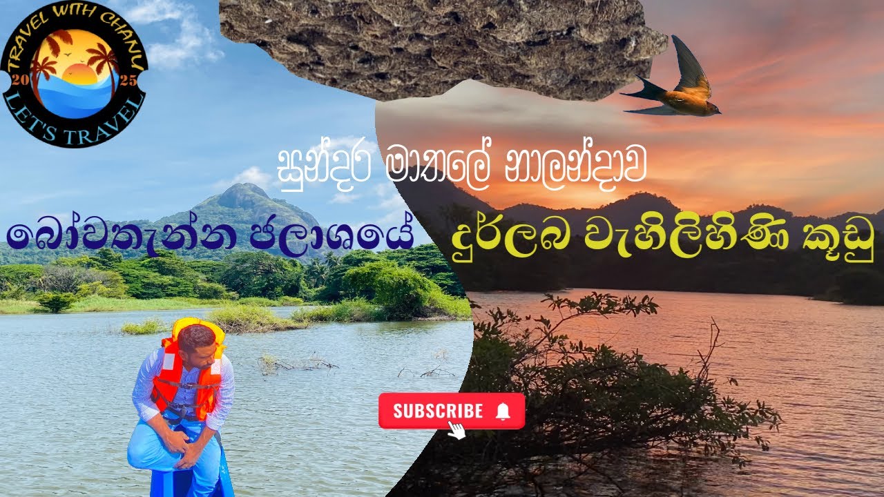සුන්දර මාතලේ  | MATALE  | බෙල්වූඩ් | BELWOOD |නාලන්දාව | NALADAWA