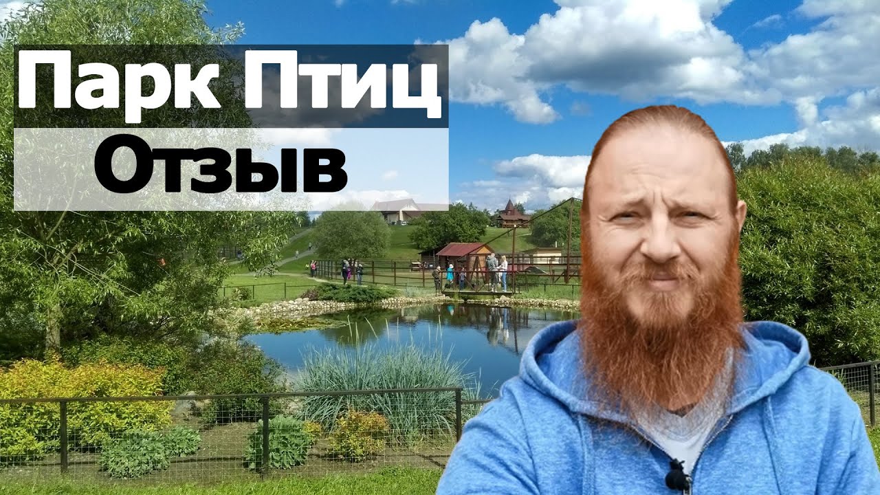 Парк птиц Воробьи Калужская область | Мой отзыв