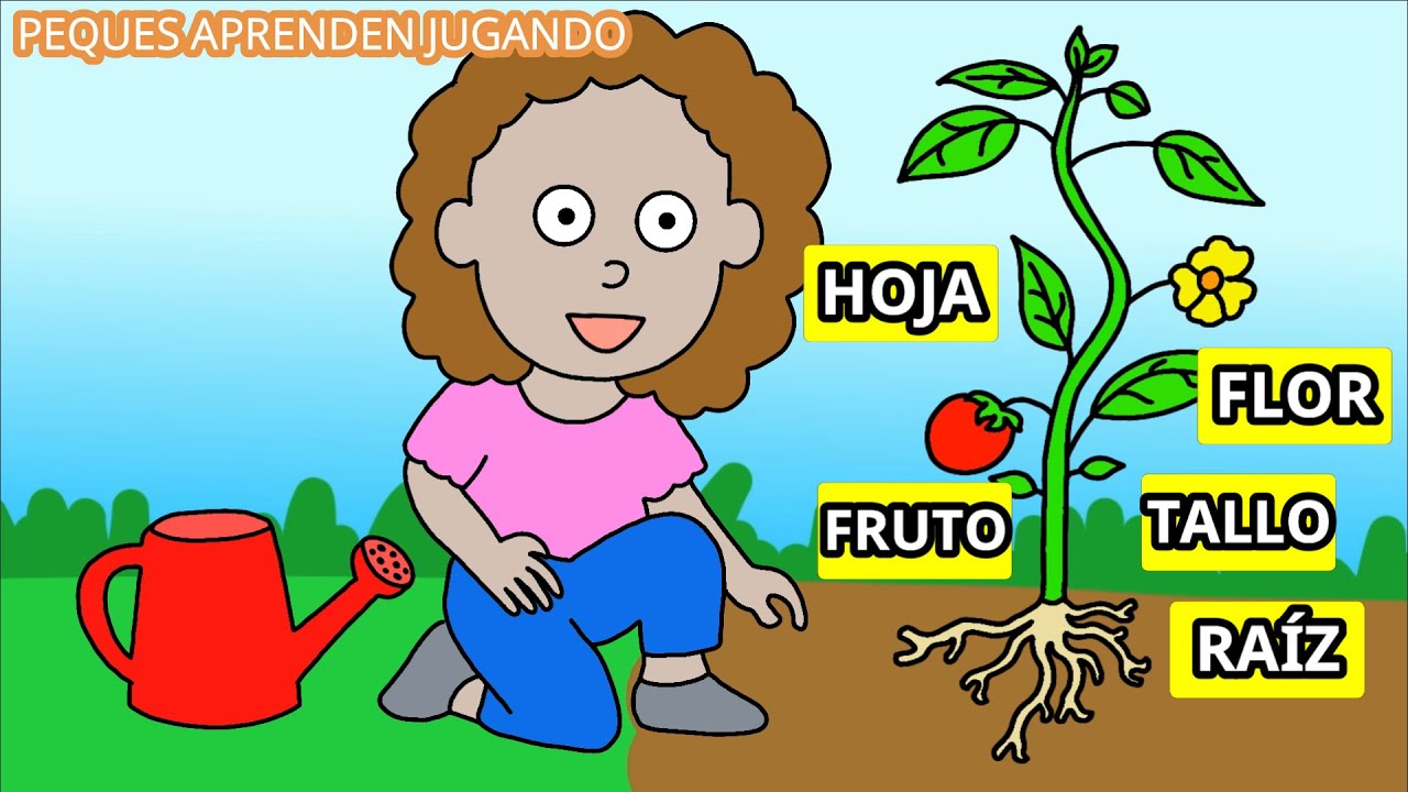 Las plantas para ni&ntilde;os  Video de las partes de una planta de Peques Aprenden Jugando