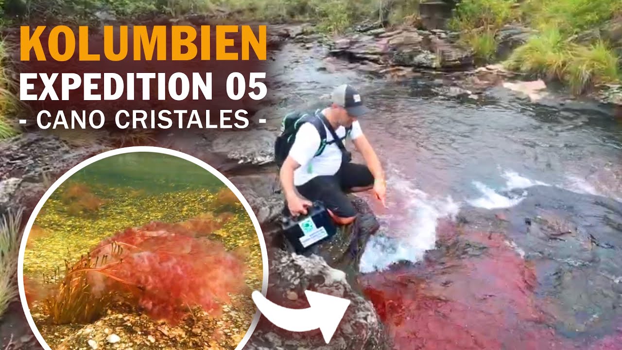 Teil 5 - JBL Kolumbien Expedition 2022 - Cano Cristales
