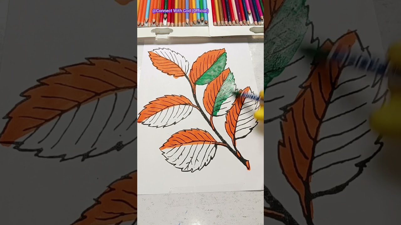 Amazing 🧡💚 Indian leaves trending sketch by using brush pens 