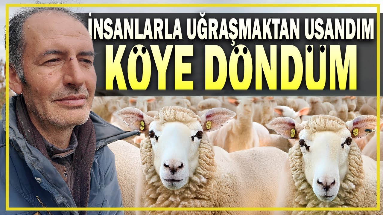 Terk Edilmiş Köyde Umudu Yeniden Yeşertti: Ali Rıza Abi’nin Köye Dönüş Hikayesi -