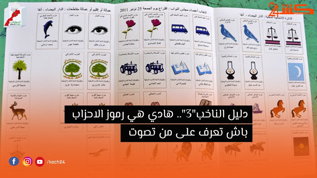 دليل الناخب